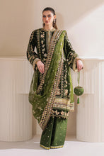 Load image into Gallery viewer, B - EMBROIDERED VELVET UF-756