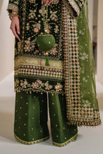 Load image into Gallery viewer, B - EMBROIDERED VELVET UF-756