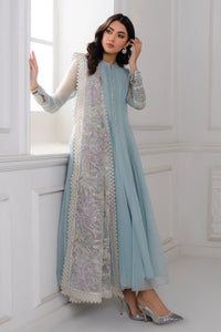 B - EMBROIDERED CHIFFON WITH NET DUPATTA