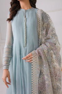 B - EMBROIDERED CHIFFON WITH NET DUPATTA