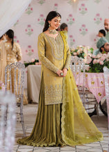 Load image into Gallery viewer, AA - MEHARZAD