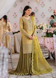 AA - MEHARZAD