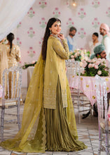 Load image into Gallery viewer, AA - MEHARZAD