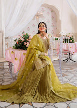 Load image into Gallery viewer, AA - MEHARZAD