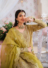 Load image into Gallery viewer, AA - MEHARZAD