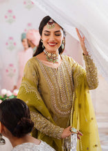 Load image into Gallery viewer, AA - MEHARZAD