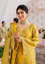 Load image into Gallery viewer, AA - MEENA
