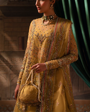 Load image into Gallery viewer, ZK - BANO RANI