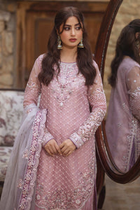SB - NAQSH