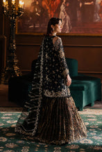 Load image into Gallery viewer, AF - SARAVE