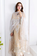 Load image into Gallery viewer, Q - U 201