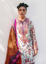 Load image into Gallery viewer, HR - SHAFAF