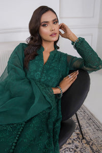 B - EMBROIDERED SCHIFFLI CHIFFON UF-339