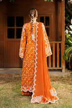 Load image into Gallery viewer, AF - ELYORA