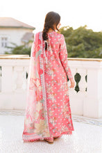 Load image into Gallery viewer, AF - AMELUNE