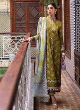 Load image into Gallery viewer, FTA - ASNI OLIVE