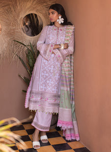 FTA - SETTI BLUSH