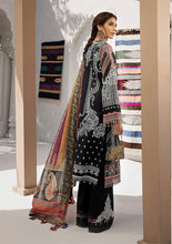 Load image into Gallery viewer, AKC - SOHA