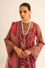 Load image into Gallery viewer, B - EMBROIDERED NET UF 232