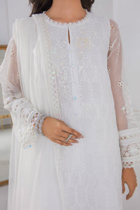 B - EMBROIDERED CHIFFON UF 284