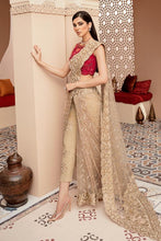 Load image into Gallery viewer, IMROZIA - B14 SHEEN ARDOUR (TROUSER SAREE)
