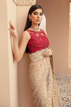 Load image into Gallery viewer, IMROZIA - B14 SHEEN ARDOUR (TROUSER SAREE)