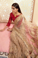 Load image into Gallery viewer, IMROZIA - B14 SHEEN ARDOUR (NORMAL SAREE)