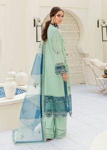 A-EXQUISITE MINT