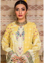 Load image into Gallery viewer, AKC-AFSA