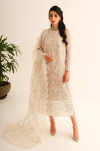 Load image into Gallery viewer, B - EMBROIDERED CHIFFON UF 229