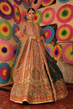 Load image into Gallery viewer, FH - RAVNEETI