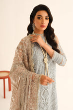 Load image into Gallery viewer, B - EMBROIDERED NET UF 281