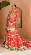 Load image into Gallery viewer, AKC - TEHSEEN A