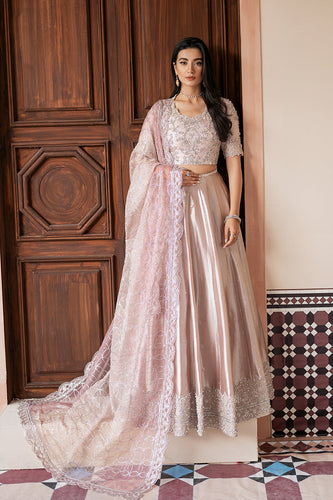 MQ - ZOHREH