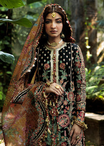 HR - DILRUBA
