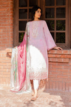 Load image into Gallery viewer, CS - PINK ASTER