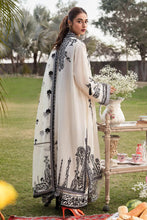 Load image into Gallery viewer, NS - ROYAL LEGACY