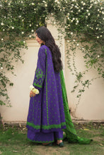 Load image into Gallery viewer, ZSJ - FALAK B
