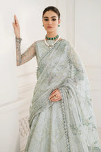 Load image into Gallery viewer, B - EMBROIDERED NET CH10-05 (LEHNGA STYLE)