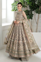 Load image into Gallery viewer, B - EMBROIDERED NET CH10-08 (PESHWAS STYLE)