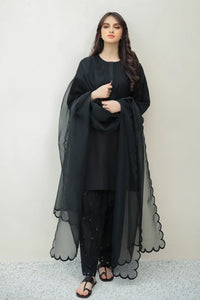 BD - ORGANZA DUPATTA-24