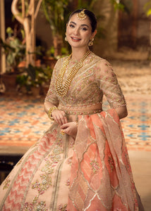 CSS - STORIES OF CHATA PATTI