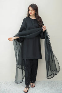 BD - ORGANZA DUPATTA-24