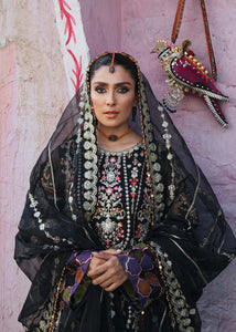 AX - JUNGLI KABOOTAR