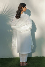 Load image into Gallery viewer, BD - EMBROIDERED ORGANZA DUPATTA-31