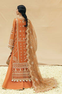 AF - AMIRA