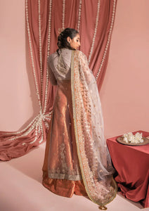 AIK - WEDDING FESTIVE LOOK 07 ( STYLE 01)