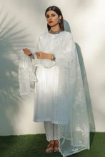 Load image into Gallery viewer, BD - EMBROIDERED ORGANZA DUPATTA-31