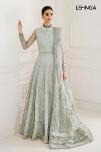 B - EMBROIDERED NET CH10-05 (LEHNGA STYLE)