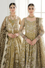 Load image into Gallery viewer, B - EMBROIDERED NET CH10-02 (GOWN STYLE)